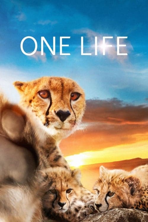 Uma Vida poster