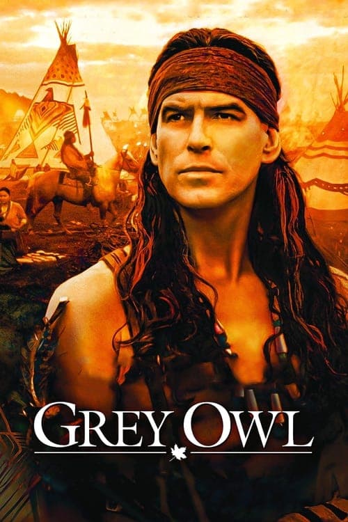 O Guerreiro Da Paz poster
