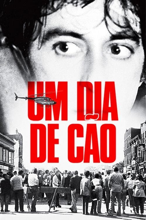 Um Dia de Cão poster
